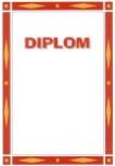  Diplom - Uni2