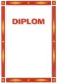  Diplom - Uni2