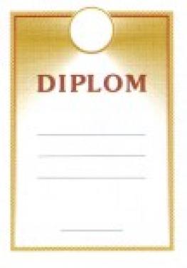 Diplom - Uni3
