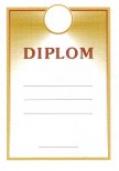  Diplom - Uni3