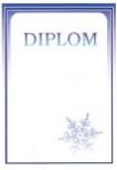  Diplom - zima